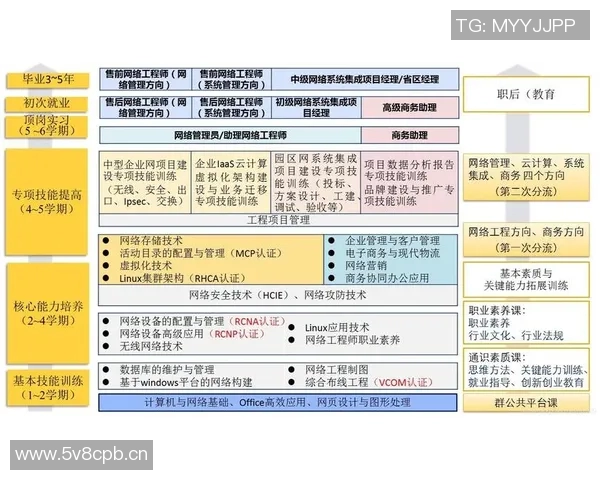 聚焦王者荣耀：V5个人能力分析与职业发展探讨